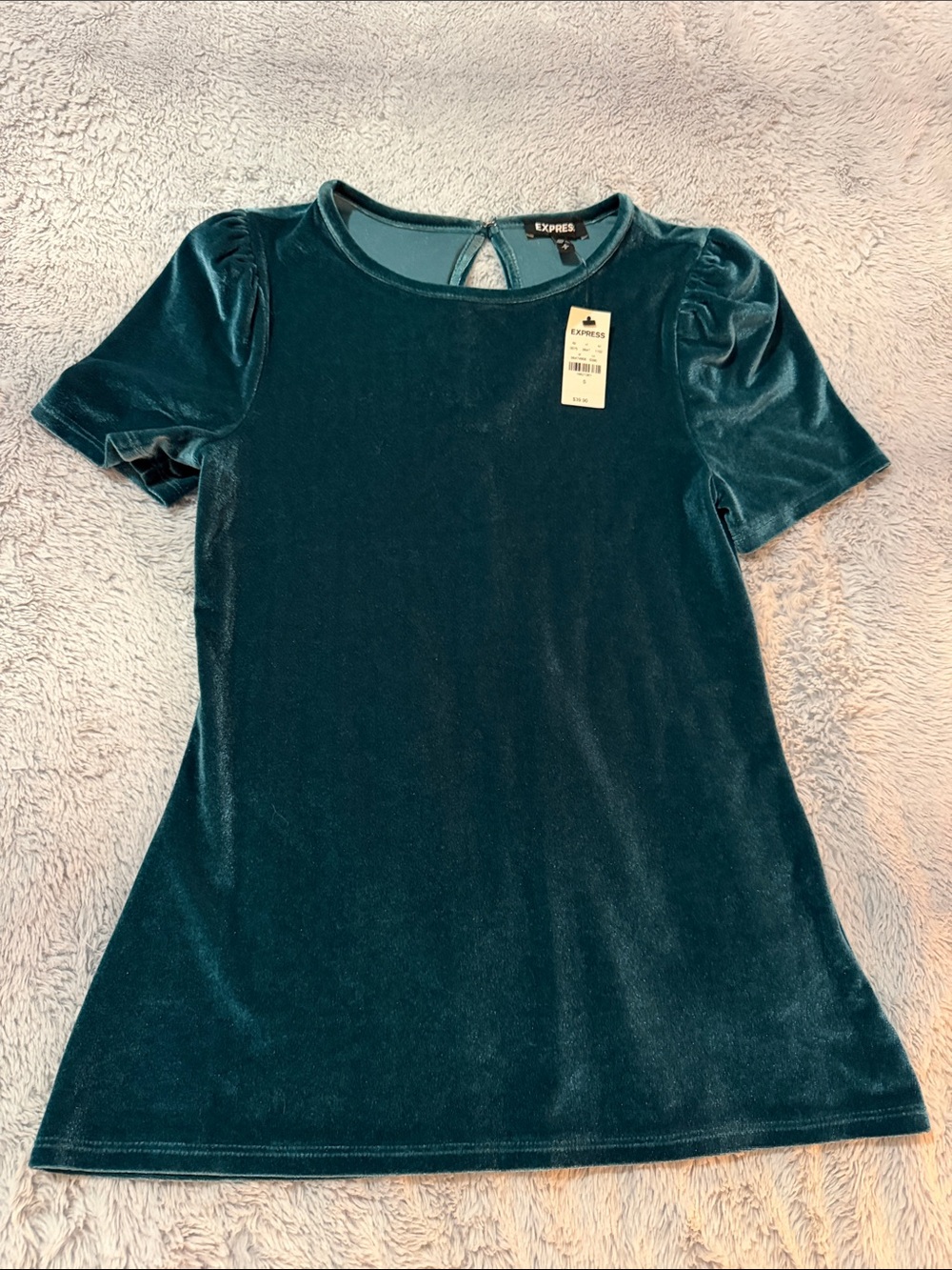 Express Women's Teal Velvet Short Sleeve Tunic